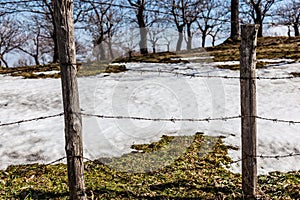 Barbed wire and snow