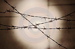 Barbed wire in the spotlight