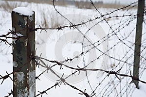 barbed wire stretched between metal posts in a snowy landscape