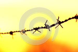 Barbed wire at sunrise