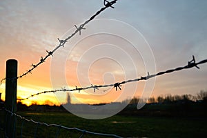 Barbed wire at sunrise