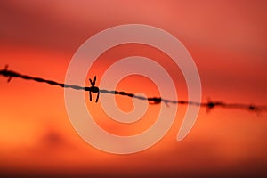 Barbed wire at sunset