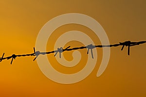 Barbed wire sunset