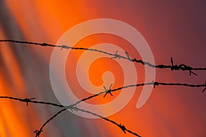 Barbed wire at sunset background