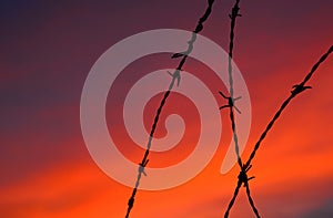 Barbed wire at sunset background