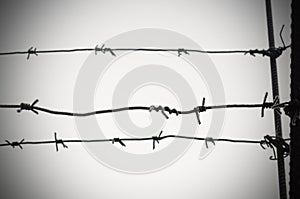 Barbed wire is a symbol of unfreedom, deprivation and concentration camps.