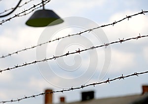 barbed wire to demarcate the concentration camp