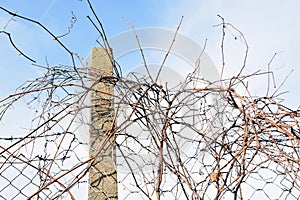 The barbed wire in two rows as protection against unauthorized entry into private territory