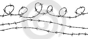 Barbed wire on white background