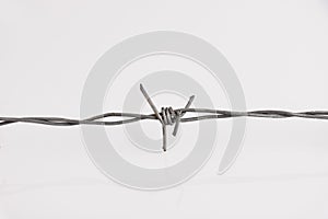 Barbed wire on a white background. Close-up, with a sharp spike. copy space