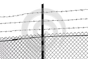 Barbed wire on a white background