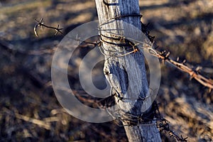 Barbed Wire on Wood Post