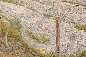 Barbed Wire on Wood In the rice field