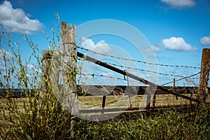 Barbed wire on a wooden fence in the field