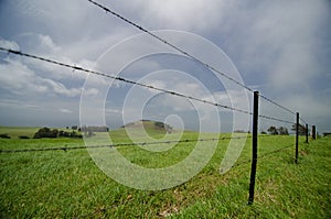 Barbed wired fence at a farm near Kohala Mountain Road