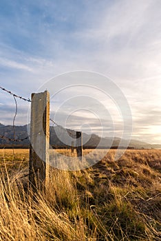 Barbed wired fence on pasture