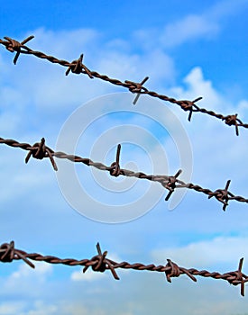 Barbed wires