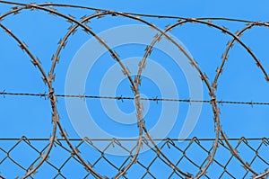 Barbedwire