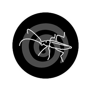 Barbel beetle black line icon.