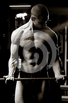 barbell biceps curls photo