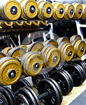 Barbells on a rack in a gym.