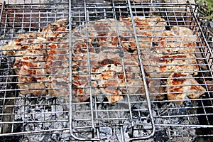 Barbeque Fried On The Bonfire And Coals