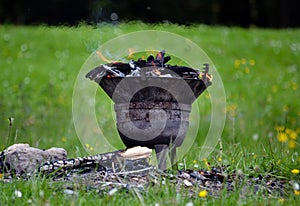 Barbeque ready for grill