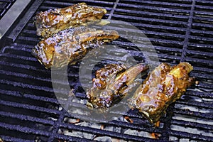 Barbeque ribs on cooking on the grill