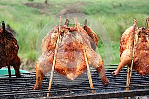 Barbequed ckicken