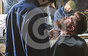 Barber busy with grooming beard of hipster client, mirror reflexion on background. Hipster with beard covered with cape