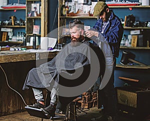 Barber with clipper trimming hair on nape of client. Hipster client getting haircut. Hipster style concept. Barber with