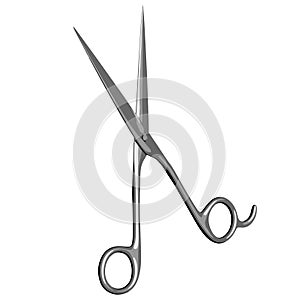 Barber`s Pair of Scissors