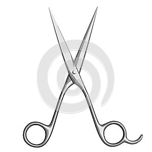 Barber`s Pair of Scissors