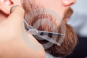 Barber with scissors shaving bearded man