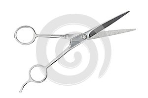 Barber scissors on white photo
