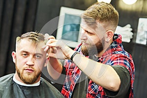 Barber at work. Hairdresser cutting hair of client