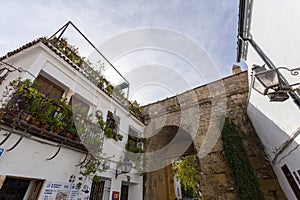 Barberia peluqueria puerta de Almodovar in Cordoba, Spain photo