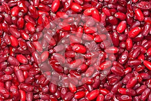 Barberries background