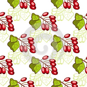 Barberry Seamless Pattern