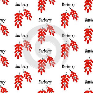 Barberry seamless pattern