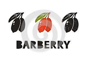 Barberry, silhouette icons set with lettering. Imitation of stamp, print with scuffs