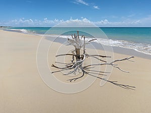 Barbuda 17 miles long beach