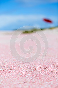Barbuda pink sand beach photo