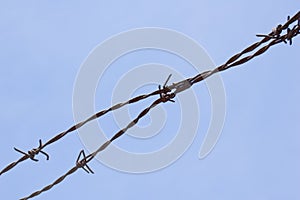 Barbwire