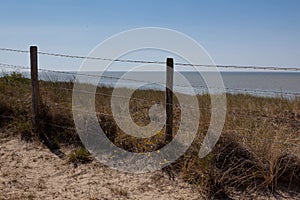Barbwire dunes North Sea, Blankenberge, Belgium