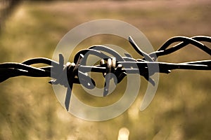 Barbwire Fence photo