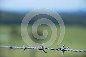 Barbwire Fence