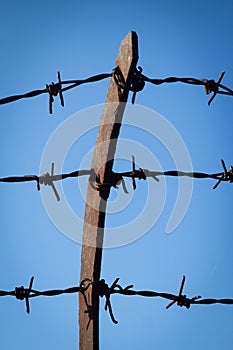 Barbwire fence detail