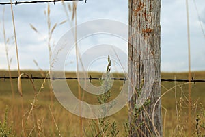 Barbwire fence with wooden post