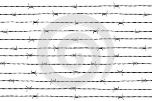 Barbwire Isolated On White